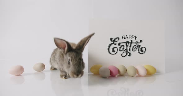 A Little Rabbit is Playing with the Inscription Happy Easter