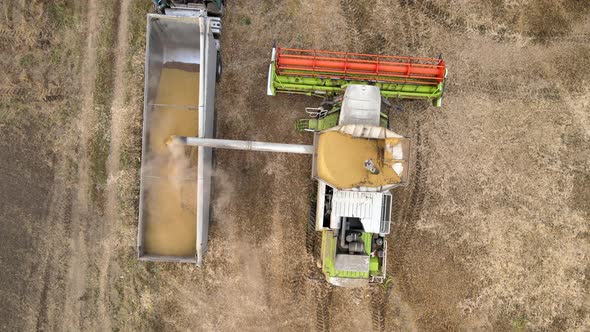 Aerial View of Combine Harvester Unloading Grain in Cargo Trailer Working During Harvesting Season