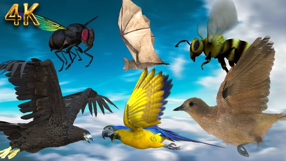 6 Animals Flying Pack