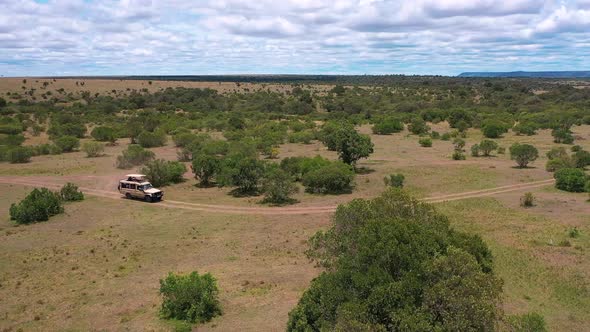 National Park Safari