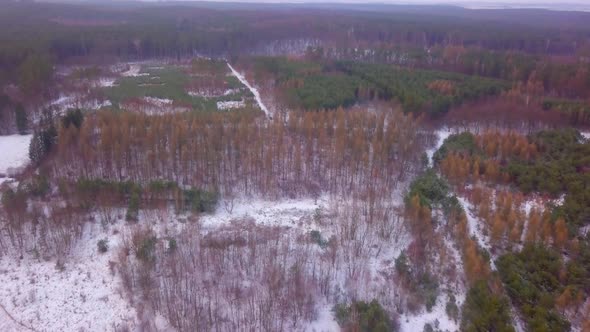 Winter Polish Landscape From Above