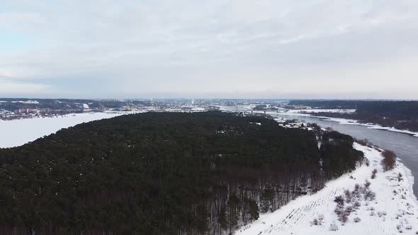 Beautiful conifer forest on river Nemunas shore in winter season