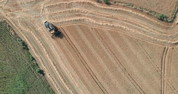 Drone Shot with Descending and Turning Top View of Mowing Machine, Harvesting on Yellow Wheat Field