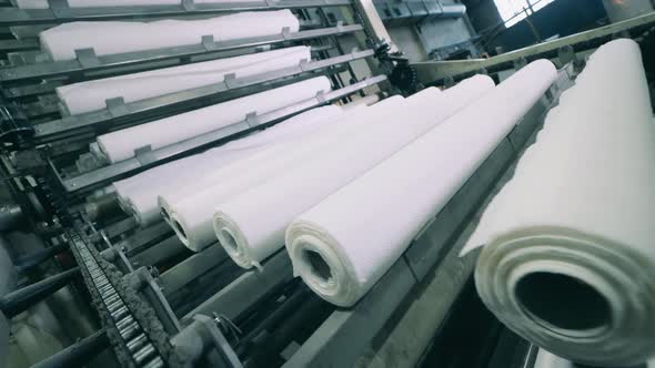 Paper Rolls Moving Along the Conveyor Belt at a Paper Mill