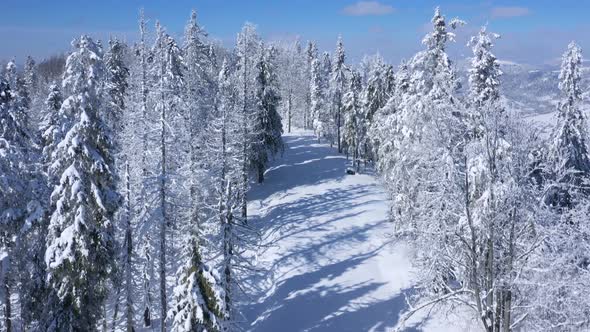 Aerial View on the Path in Fabulous Winter Forest