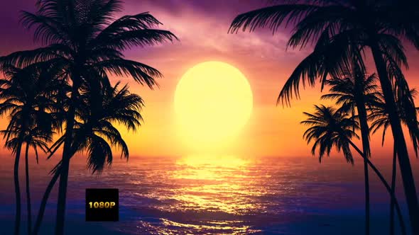 Vintage Palm Tree On The Sunset Sea Full Hd