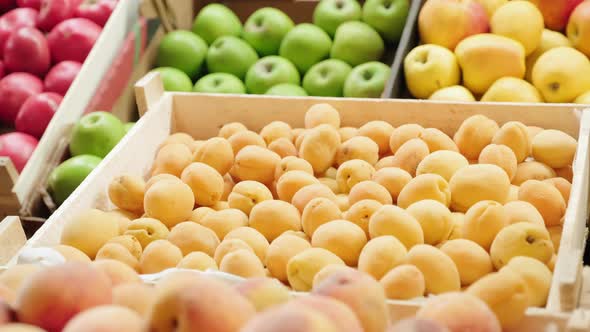 Fresh Apricots and Apples for Sale in Supermarket