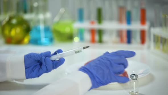 Lab Worker Injecting Medication Into Meat Sample, African Swine Flu Analysis