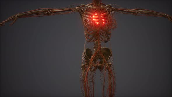 CG Animation Of A Sick Human Heart alt