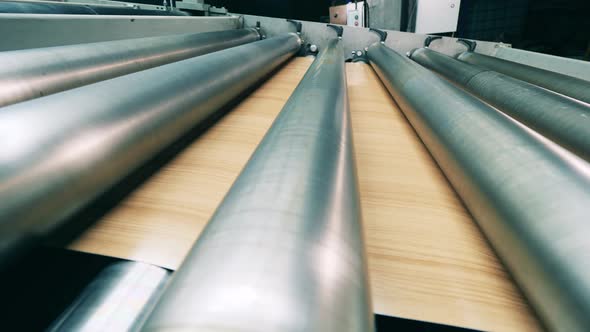 Spinning Rollers of the Conveyor with a Facing Plate Under Them