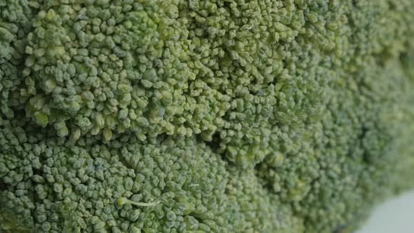 Texture of  edible green broccoli Brassica oleracea close-up slow pan video