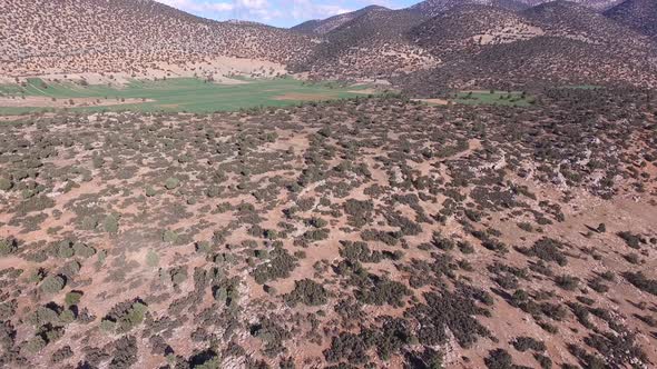 Green Little Plain Between Sparse Scrubland Hills