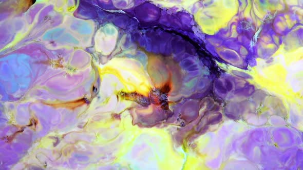 Multicolor Liquid Paint Surface 