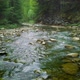 Mountain River with Low Rapids Flows Inside Mysterious Forest - VideoHive Item for Sale