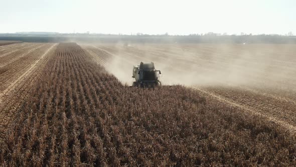 Combine Harvester Harvesting Ripe Corn on Harvest Field