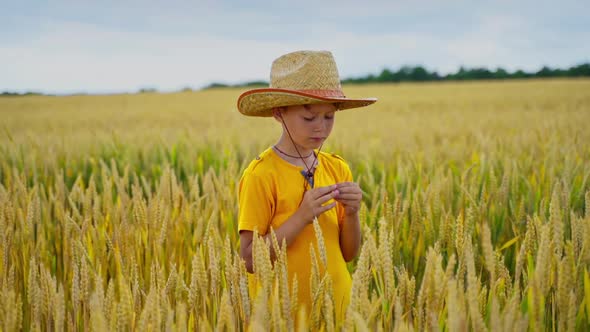Child in agricultural field. 