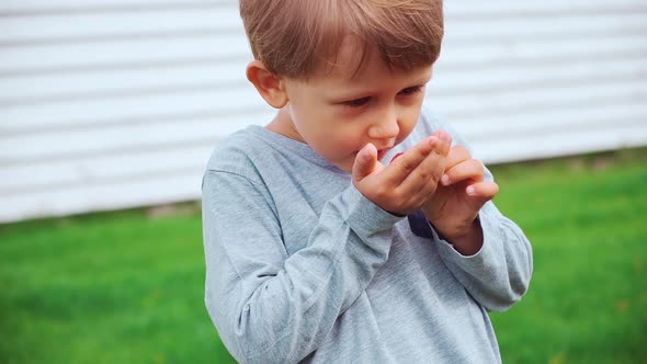 Child 4 Years Old Holding and Eating Raspberries in Backyard