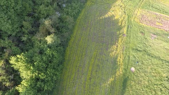 Farmland and Forest