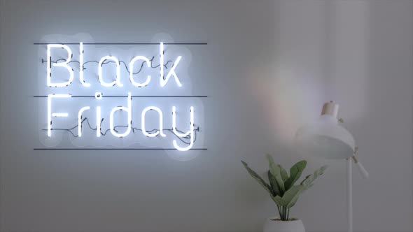 Neon Sign Text Background Word Black Friday
