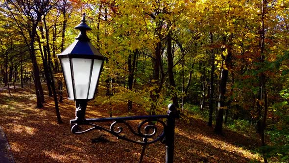 Aerial drone view of a flying in the autumn park. Street lamp on a background of autumn leaves.