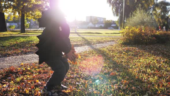 Autumn Walk