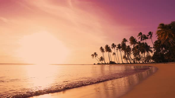 Red sunset background on the palms beach. Yellow sun touches horizon over the sea. 