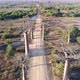 Avenue Of The Baobabs Morondava Madagascar 26 - VideoHive Item for Sale