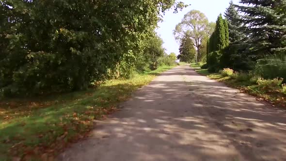 Dirt Road Passing Through a Cottage Village