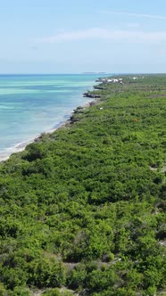 Zanzibar Tanzania  Ocean Shore Covered with Green Thickets Vertical Video