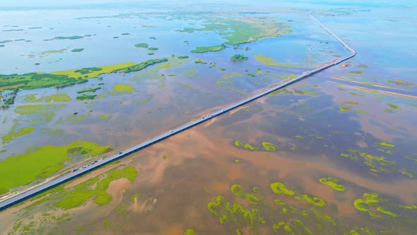 Aerial view from a drone over green and yellow plants in a large wetland