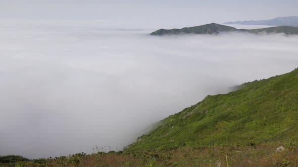 Cloud Fragments in a Forested Valley and Hilly Landscape