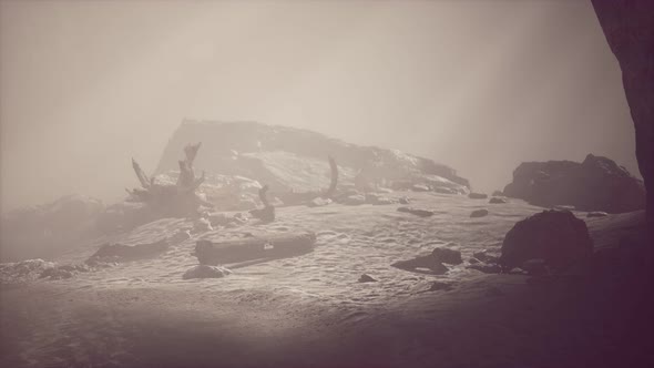 Rocky Cliff with Sand Beach in Deep Fog