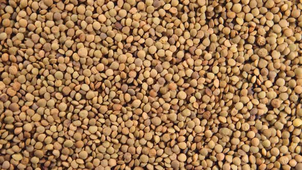 Rotation Of A Lentil Grains (Background)