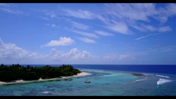 Aerial drone shot sky of paradise lagoon beach wildlife by shallow ocean with white sand background 