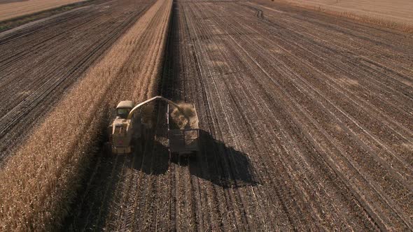 Aerial view of combine filling truck while cutting corn