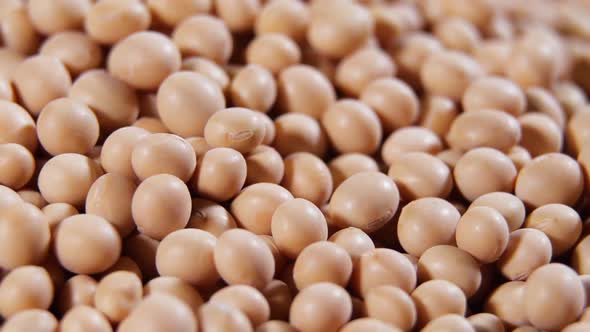 Raw Soy Bean Top View Texture High in Fiber Supplementary Food Protein Healthy Food Soybeans Organic