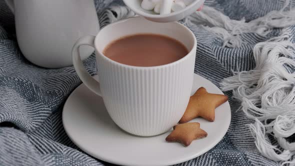 Cooking Winter Cocoa with Marshmallow and Cookies