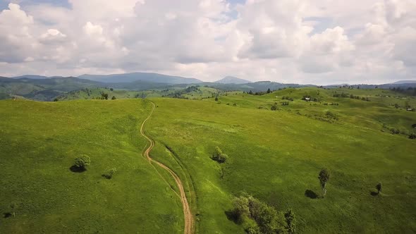 Aerial view of green hills and Carpathian mountains covered with evergreen spruce pine 