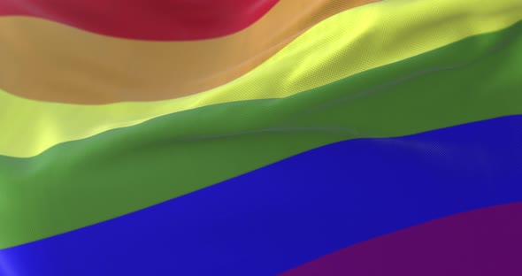 The Rainbow Flag