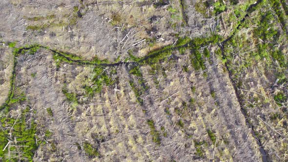 Deforestation of Land Seen From An Aerial View