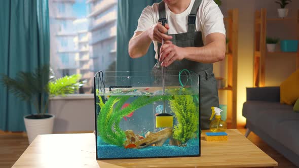 Service Aquarist is Engaged in Cleaning the Aquarium with a Special Sponge