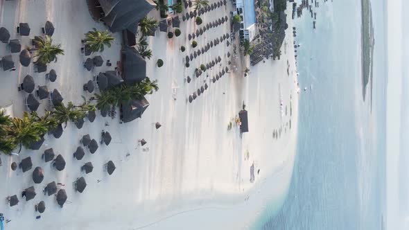 Vertical Video of the Beach on Zanzibar Island Tanzania Aerial View