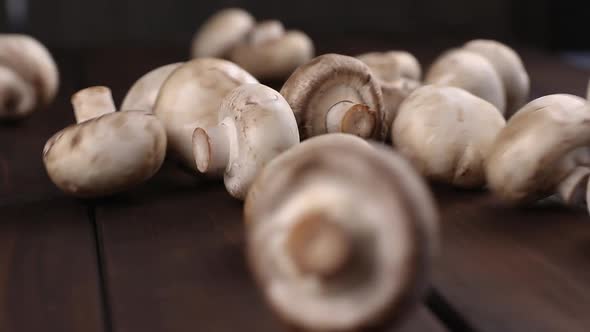 raw porcini champignon mushrooms falling down on a wooden cutting board