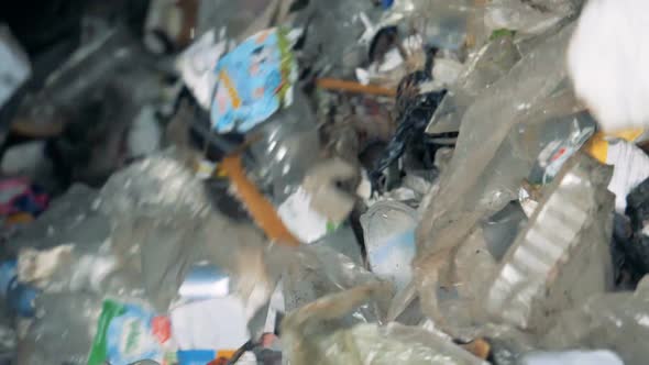 Plastic and Paper Trash Sorting at a Factory