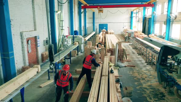 Technicians Are Working in the Premises of a Woodworking Plant