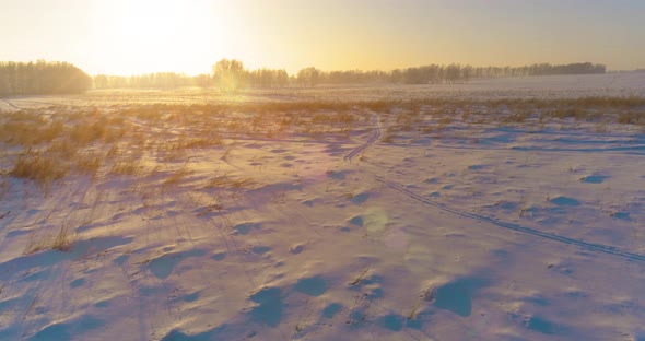 Aerial Drone View of Cold Winter Landscape with Arctic Field Trees Covered with Frost Snow and