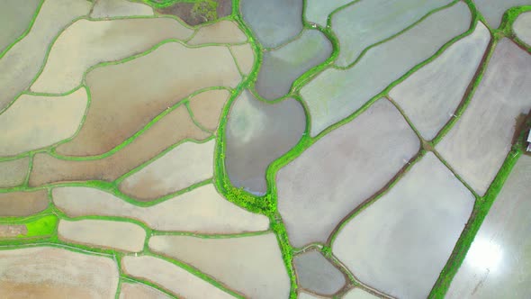 Aerial view of drones flying over rice terraces