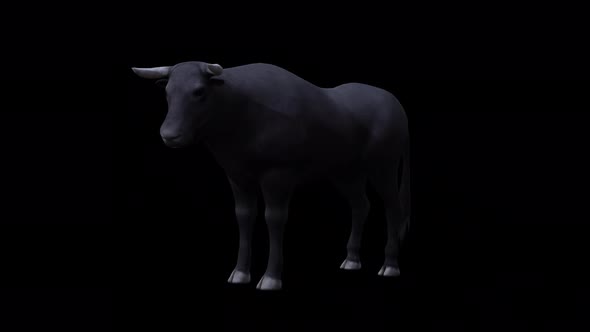 Bull Idle View From Front Side alt