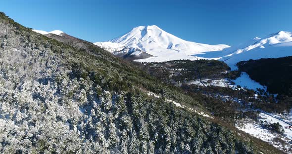 Sunny Snow Covered Trees Aerial Drone Flyover Towards Lonquimay Volcano And Corralco