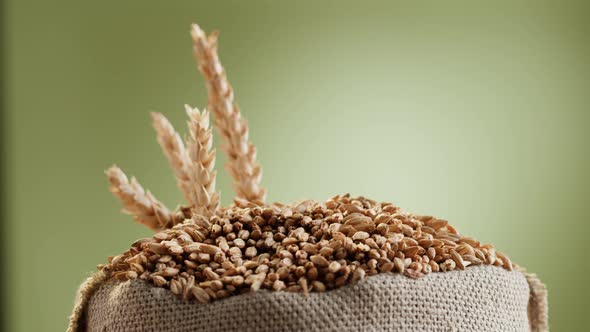 Malt Grains Closeup